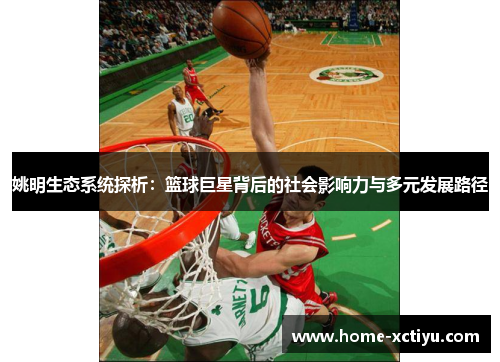 姚明生态系统探析：篮球巨星背后的社会影响力与多元发展路径