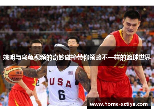 姚明与乌龟视频的奇妙碰撞带你领略不一样的篮球世界